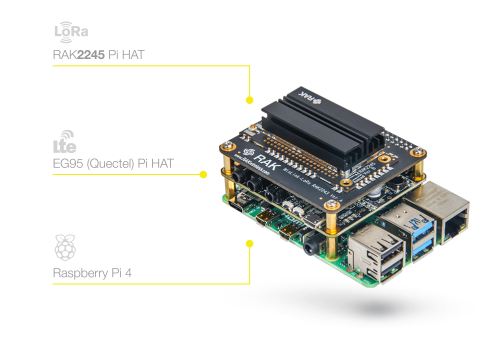 WisGate Developer  RAK7244 D4 / D4+ / D4P