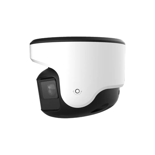 AI Dual-sensor 180° Panoramic Network Camera